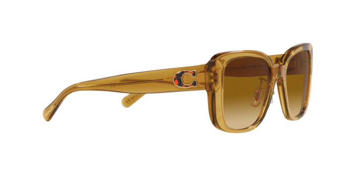 Coach HC8352 57152L Cd472 